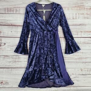 Spense Royal Blueberry Crushed Velvet Whimsygoth Dress Ruffle Flare Witchy 6 NWT